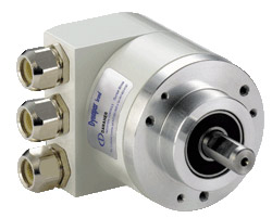 dynapar���a��